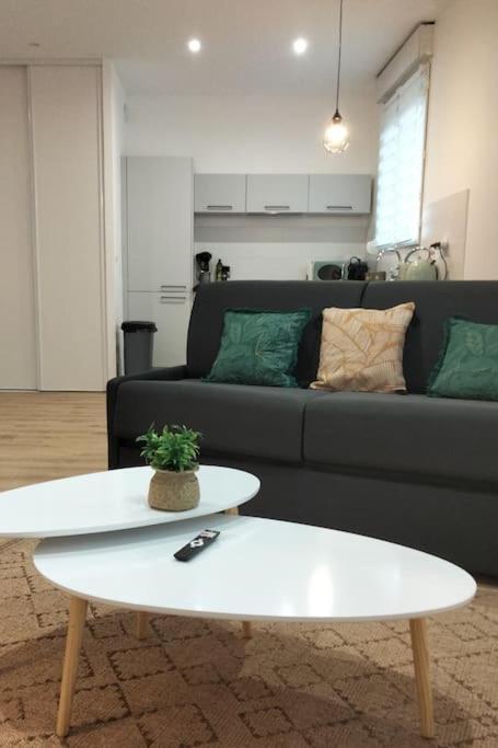 L'Escale Balzac Apartment Villeurbanne Bagian luar foto